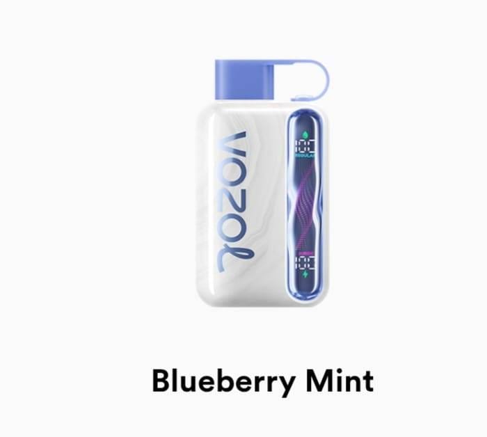 Vozol Star 40K Puffs Vape – 50mg Nicotine Disposable | UAE flavor image