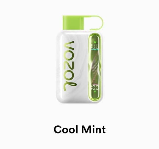 Vozol Star 40K Puffs Vape – 50mg Nicotine Disposable | UAE flavor image