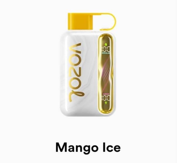 Vozol Star 40K Puffs Vape – 50mg Nicotine Disposable | UAE flavor image